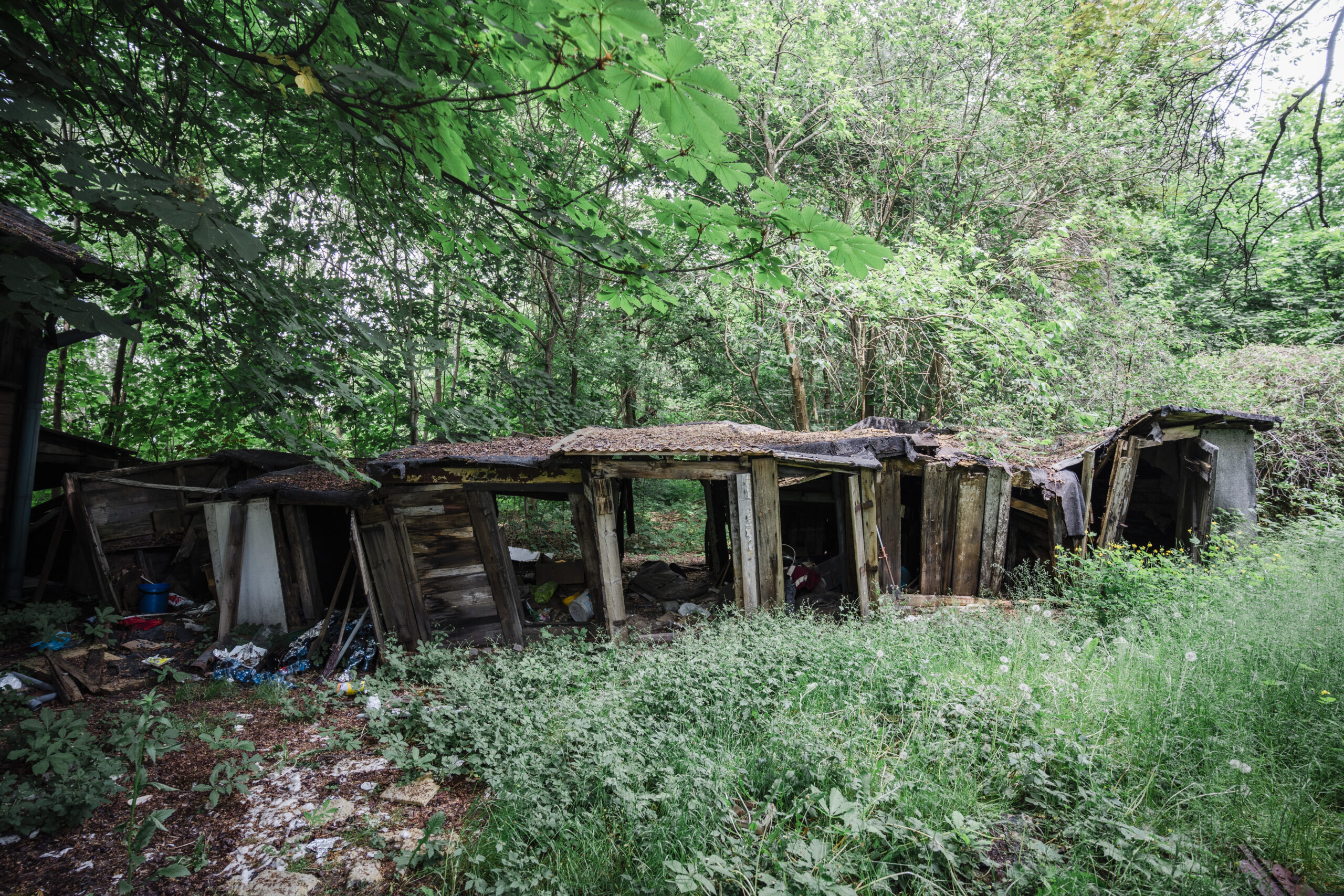 Sporna 31, 2025 r. Fot. Daniel Kiermut