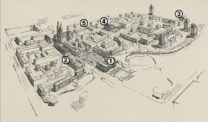 Perspektywa osiedla Stare Miasto rysował inż. arch. R. Karłowicz R. Karłowicz, Przebudowa dzielnicy Bałuty i Starego Miasta w Łodzi, „Architektura”, 1950, nr 1/2, s. 39. Na rysunku zaznaczono obiekty, które nie doczekały się realizacji : 1. Budynek administracyjny (starostwo i Rada północnych dzielnic) z reprezentacyjnym placem w Parku Śledzia, tzw. łódzkie Łazienki 2. Archiwum w zachodniej części Starego Rynku 3. Hotel w miejscu obecnego Centrum Krwiodawstwa i Krwiolecznictwa 4. Dom społeczny w miejscu XIII LO 5. Zespół szkół przy Wojska Polskiego
